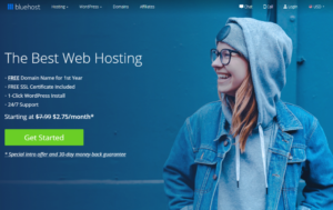 bluehost-homepage-275-1024x646